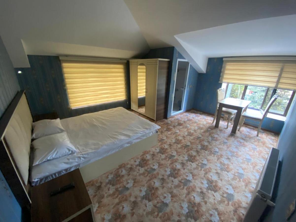 Salyut Hotel 连科兰 外观 照片